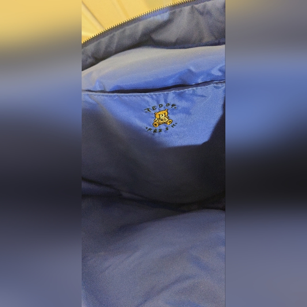 Teddy Fresh Colorblock Backpack - Picture 5 of 7